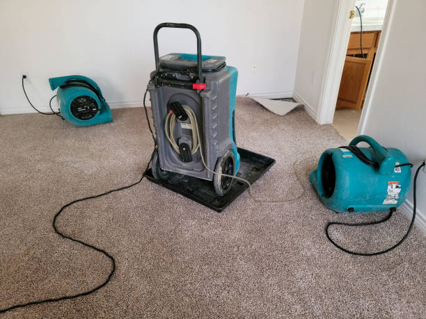 Reliable Appleton, MN Water damage restoration Solutions