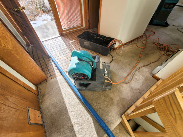 Best Water damage cleanup near me  in Appleton, MN