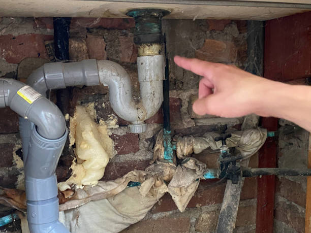 Best Emergency water damage restoration  in Appleton, MN