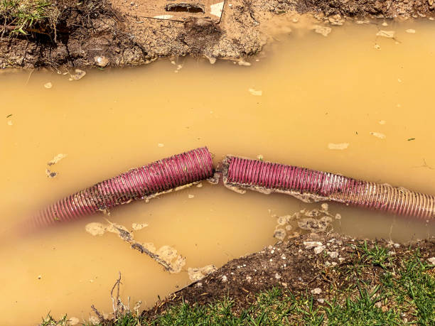 Professional Water damage restoration in Appleton, MN